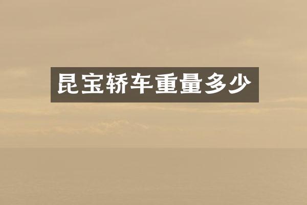 昆宝轿车重量多少
