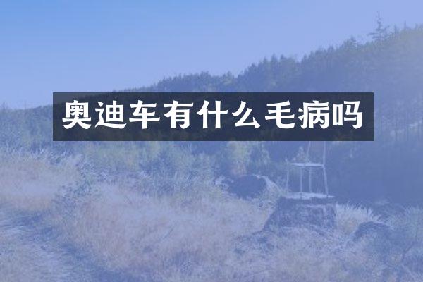 奥迪车有什么毛病吗