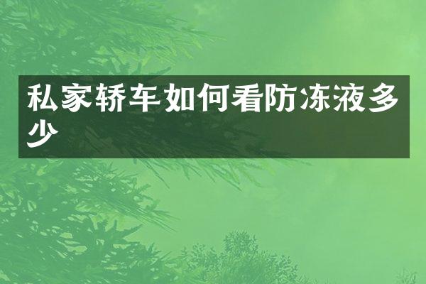 私家轿车如何看防冻液多少
