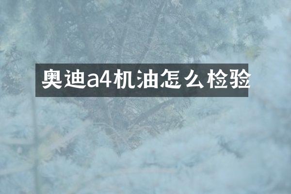 奥迪a4机油怎么检验
