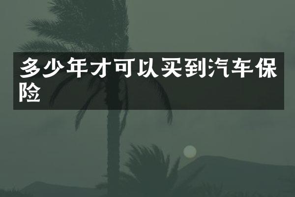 多少年才可以买到汽车保险
