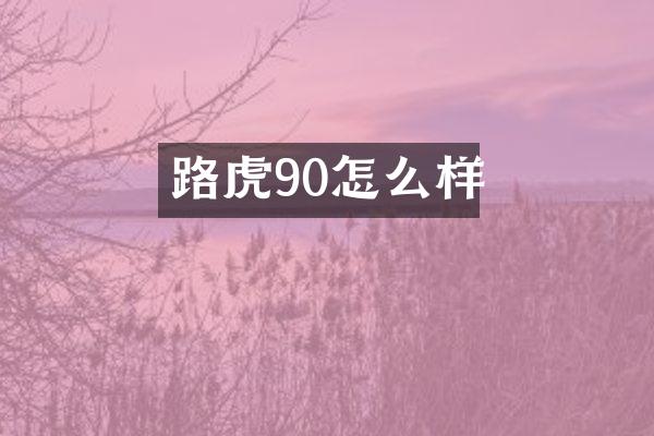 路虎90怎么样