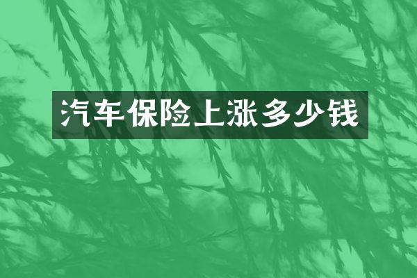 汽车保险上涨多少钱