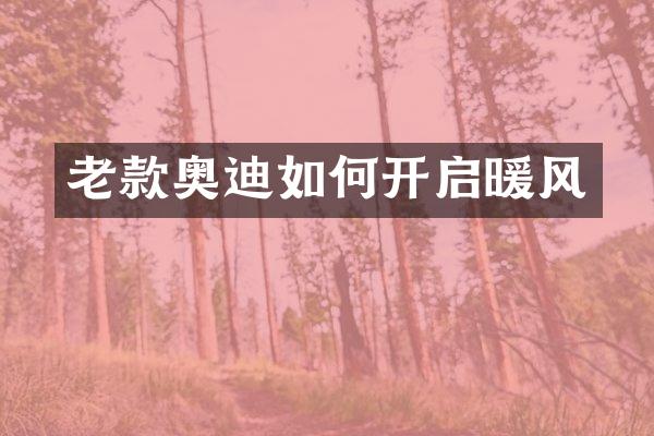 老款奥迪如何开启暖风