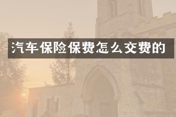 汽车保险保费怎么交费的