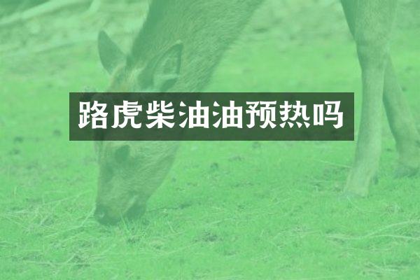 路虎柴油油预热吗