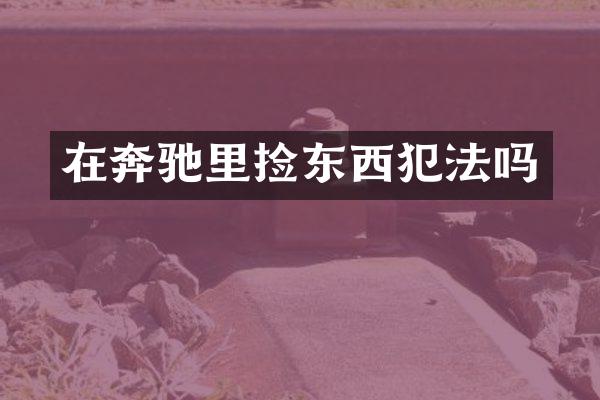 在奔驰里捡东西犯法吗