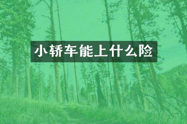小轿车能上什么险