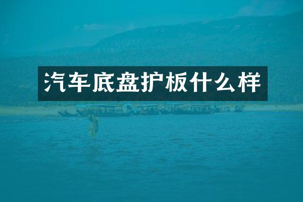 汽车底盘护板什么样