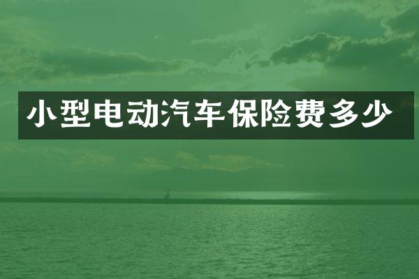 小型电动汽车保险费多少