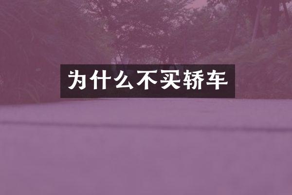 为什么不买轿车
