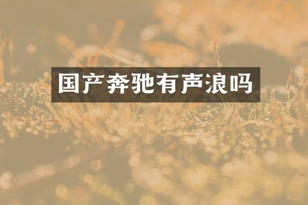 国产奔驰有声浪吗