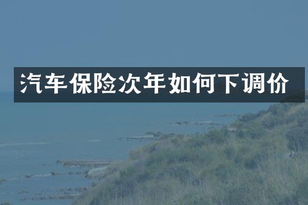 汽车保险次年如何下调价
