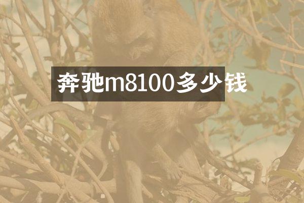 奔驰m8100多少钱