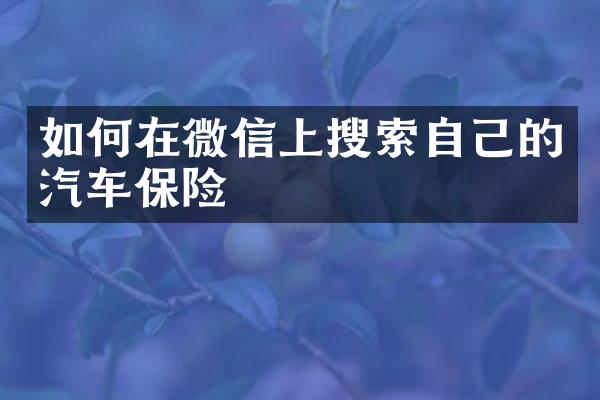 如何在微信上搜索自己的汽车保险