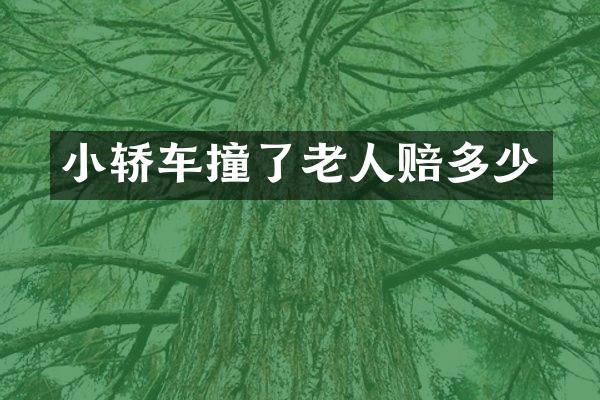 小轿车撞了老人赔多少