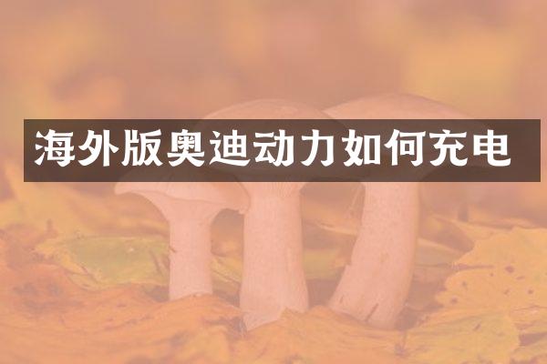 海外版奥迪动力如何充电