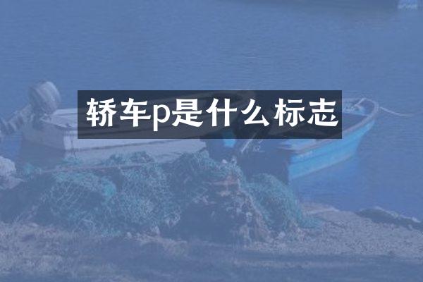 轿车p是什么标志