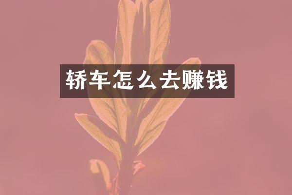 轿车怎么去赚钱