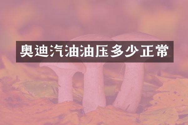 奥迪汽油油压多少正常