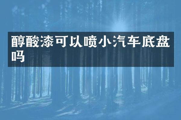 醇酸漆可以喷小汽车底盘吗
