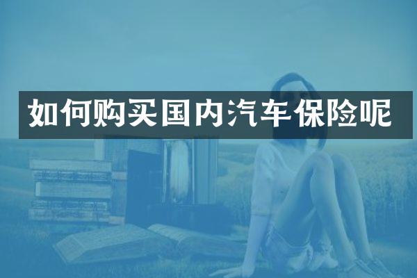 如何购买国内汽车保险呢