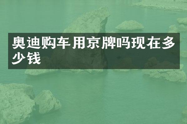奥迪购车用京牌吗现在多少钱