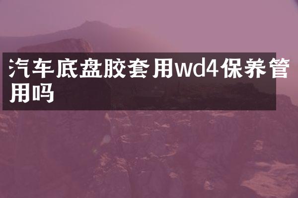汽车底盘胶套用wd4保养管用吗