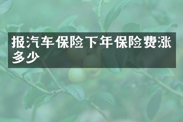 报汽车保险下年保险费涨多少