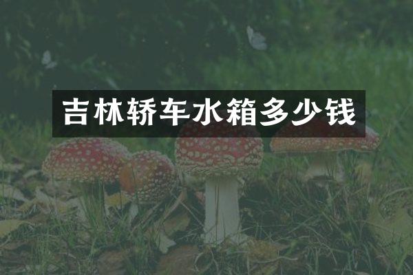 吉林轿车水箱多少钱