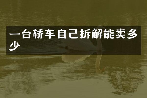一台轿车自己拆解能卖多少