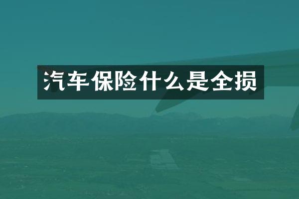 汽车保险什么是全损