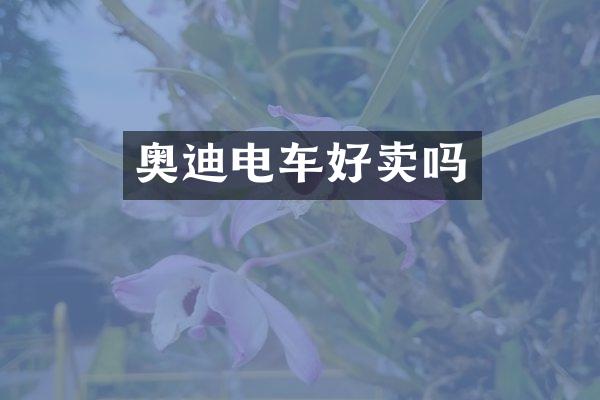 奥迪电车好卖吗