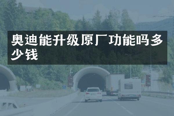奥迪能升级原厂功能吗多少钱