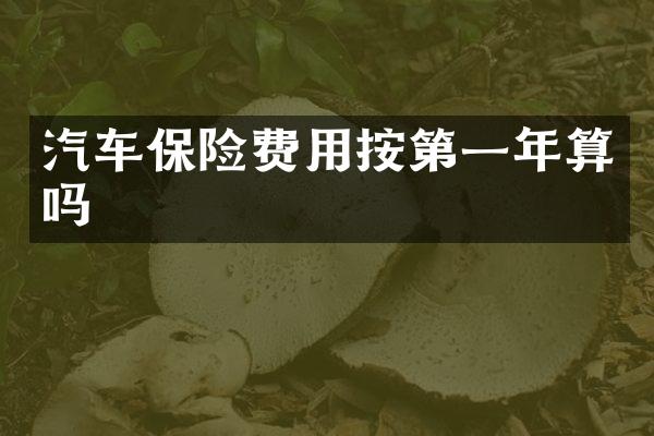 汽车保险费用按第一年算吗