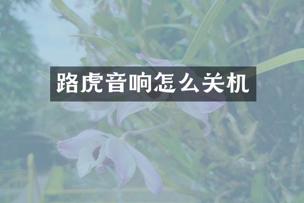 路虎音响怎么关机