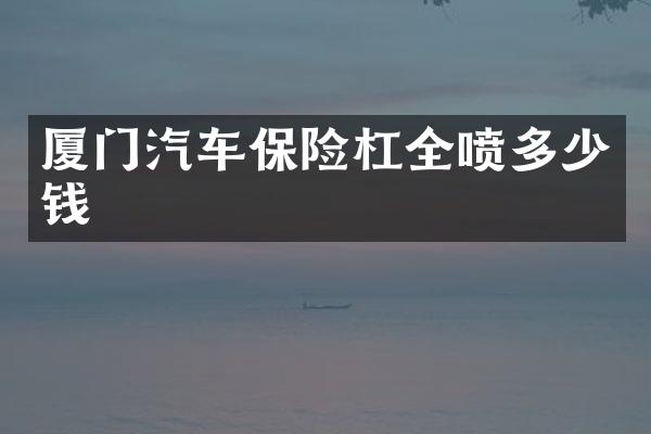 厦门汽车保险杠全喷多少钱