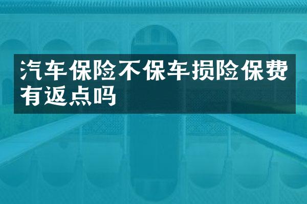 汽车保险不保车损险保费有返点吗