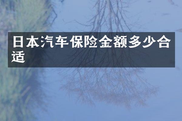 日本汽车保险金额多少合适
