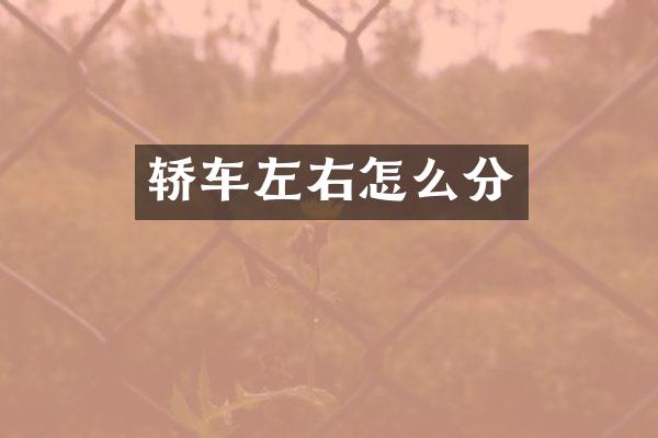轿车左右怎么分
