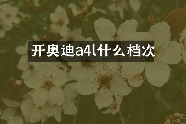开奥迪a4l什么档次