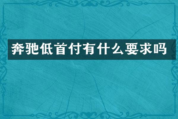 奔驰低首付有什么要求吗
