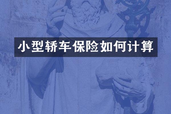 小型轿车保险如何计算