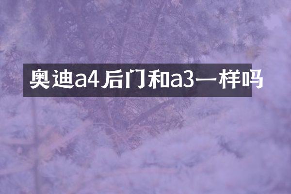 奥迪a4后门和a3一样吗