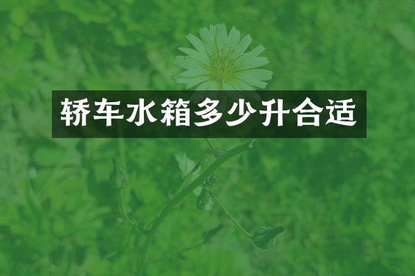 轿车水箱多少升合适