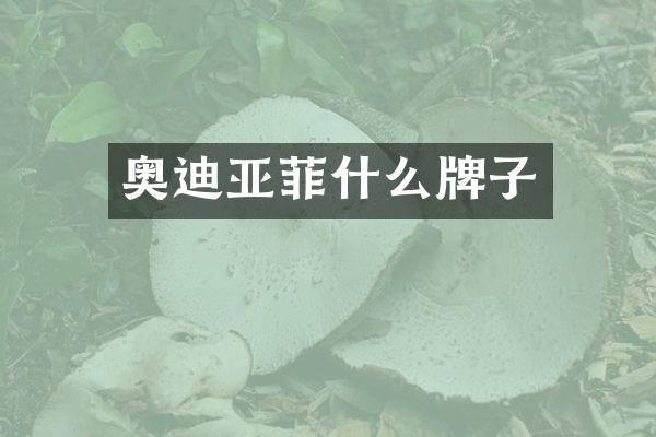奥迪亚菲什么牌子