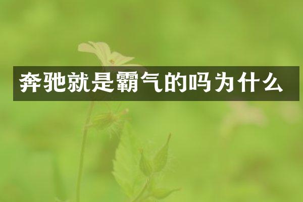 奔驰就是霸气的吗为什么