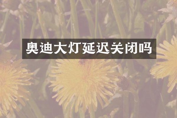 奥迪大灯延迟关闭吗