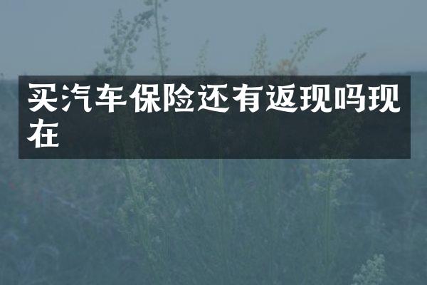买汽车保险还有返现吗现在