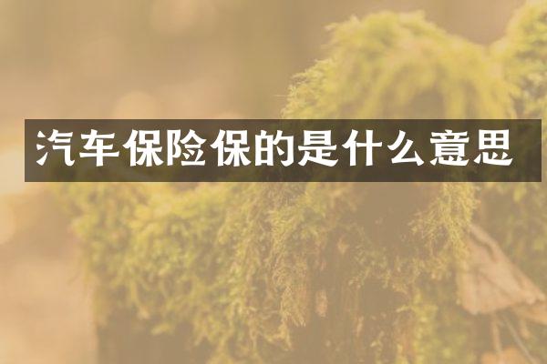 汽车保险保的是什么意思